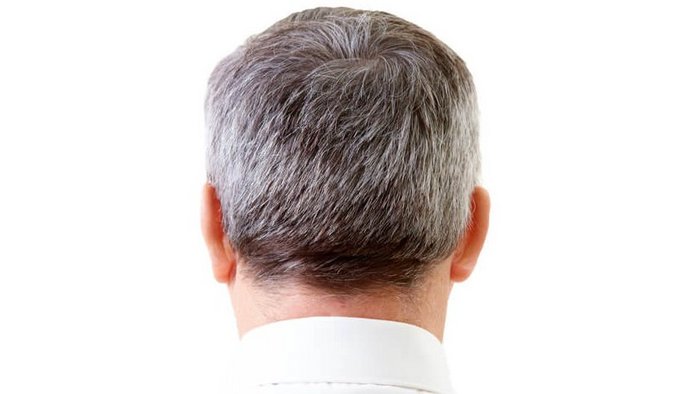 Gray hair for men